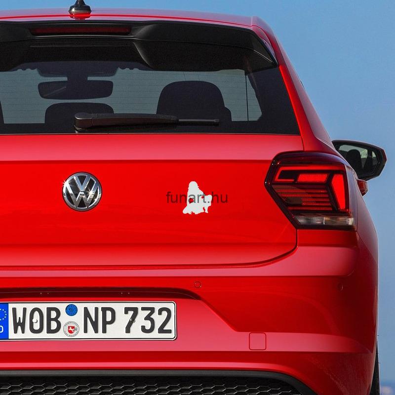 Volkswagen-Polo_jobb_feher_people_silhoutte_0510.png.jpg